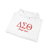 Delta Sigma Theta Enough Said Unisex Hoodie
