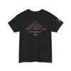 CUSTOM Delta Sigma Theta Sorority Inc. Gildan Unisex Softstyle T-Shirt, 1913