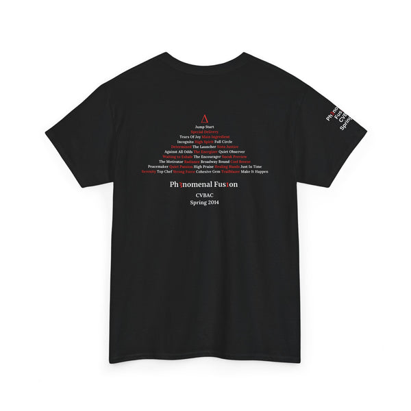 CUSTOM Delta Sigma Theta Sorority Inc. Gildan Unisex Softstyle T-Shirt, 1913