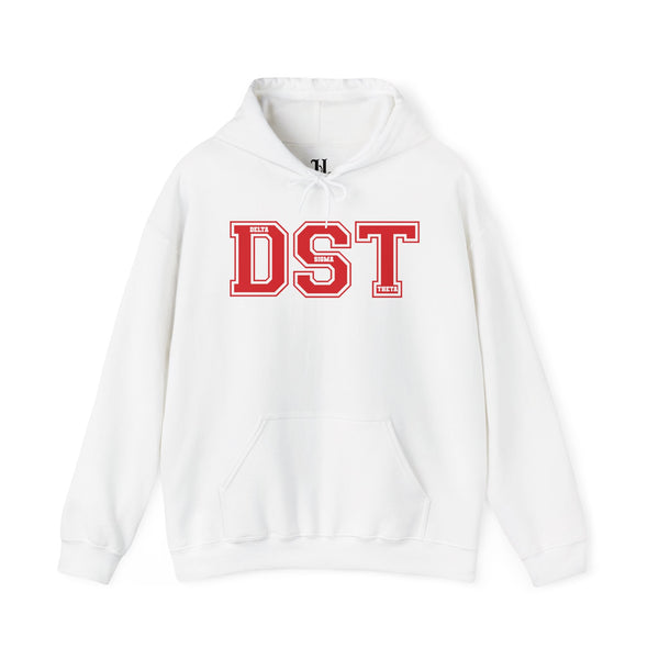 DST Delta Sigma Theta Sorority, Inc., 1913, Unisex Heavy Blend Hoodie - Cozy Gift for Friends, Streetwear, Casual Outfit, Fashion