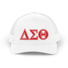 Delta Sigma Theta Trucker Hat — Retro Mesh Cap
