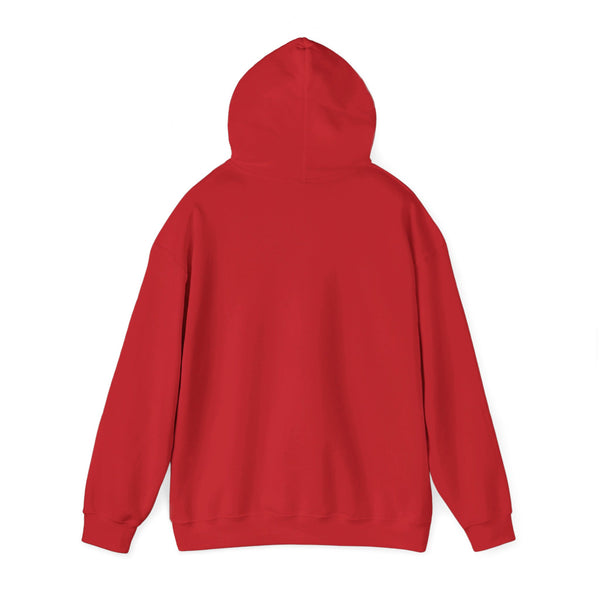Delta Sigma Theta Enough Said Unisex Hoodie