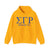 Sigma Gamma Rho Unisex Sorority Hoodie - Cozy Sweatshirt for Every Occasion, Greek Life Apparel, Sorority Gifts, College Gear, Casual Wear