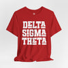 Delta Sigma Theta Sorority Unisex Softstyle T-Shirt