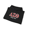 Delta Sigma Theta Enough Said Unisex Hoodie