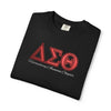 Delta Sigma Theta Personalized Embroidered Chapter T-Shirt — Greek Tee