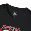 Spring 2026 Delta Sigma Theta Unisex Pledging Crossing Momento Softstyle T-Shirt, Delta Sigma Theta Sorority, 1913