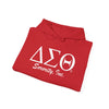 Delta Sigma Theta Sorority Unisex Sorority Hoodie | Cozy Sweatshirt for Sorority Events, Gifts, Campus Wear, Casual Outfits, and Celebrations