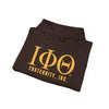 Iota Phi Theta Fraternity Sweatshirt - Unisex Heavy Blend Hoodie, Greek Life Apparel, College Gear, Gifts for Him/Her, Casual Wear