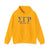 Sigma Gamma Rho Unisex Sorority Hoodie - Cozy Sweatshirt for Every Occasion, Greek Life Apparel, Sorority Gifts, College Gear, Casual Wear