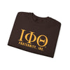 Iota Phi Theta Fraternity Sweatshirt, Unisex Crewneck, Heavy Blend, Brotherhood Gift, College Apparel, Campus Wear